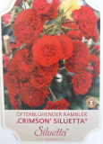CRIMSON SILUETTA ® - červená, drobný květ, převislá